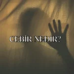 GİZLİ TANIK NEDİR (52)