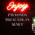 SAHTE MALİ MÜŞAVİR DOLANDIRICILIĞI (42)