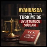 Ayahuasca ve uyuşturucu suçları